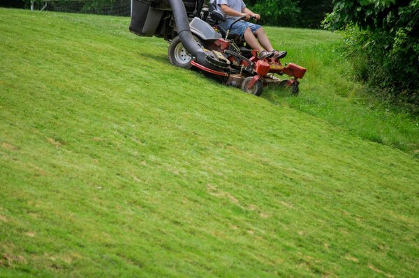Tondre écolo : astuces pour un jardin écologique et sain